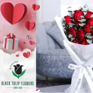 Black Tulip Flowers