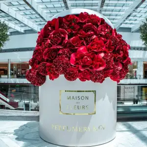Maison des Fleurs