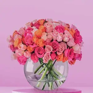 Bloom Vista Studio