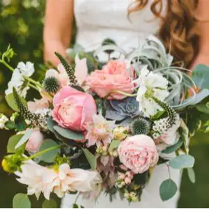 Lotus Floral Design
