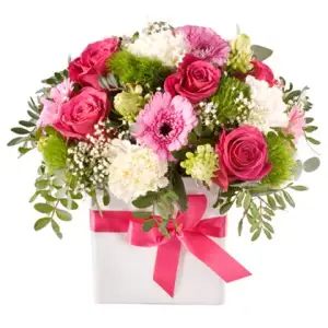 Giftblooms