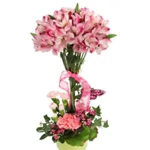 Pink Petal Studio