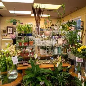 The Floral Haven