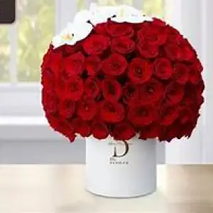 Dia Flowers