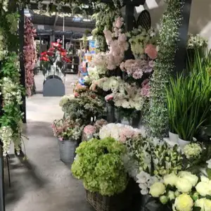 Floral Canvas