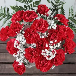 Carnation's Classic Charms