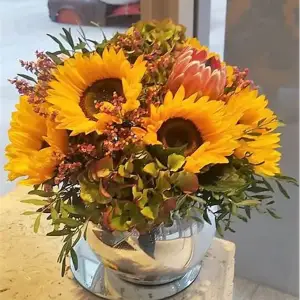 Sunflower's Sunny Disposition