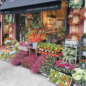 Bloomingdale's Flower Shop