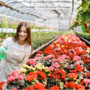 The Greenhouse Dubai