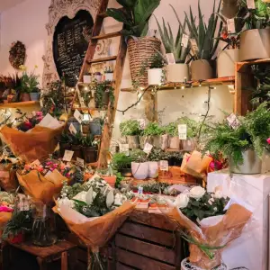 Baqer Mohebi Flowers