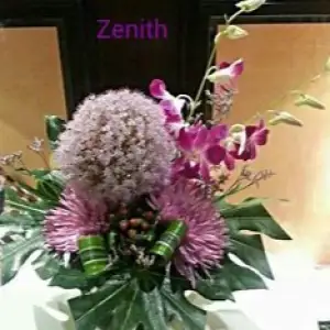 Zenith Flora