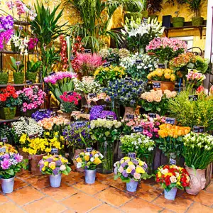 Perumal Flower Shop