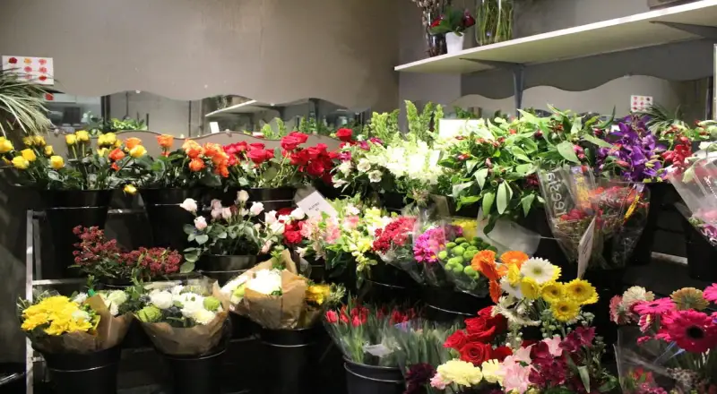 Top 10 Affordable Flower Shops in The Greens and Views