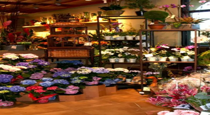 Top 10 Boutiques in Jumeirah Lakes Towers (JLT) for Gorgeous Floral Designs