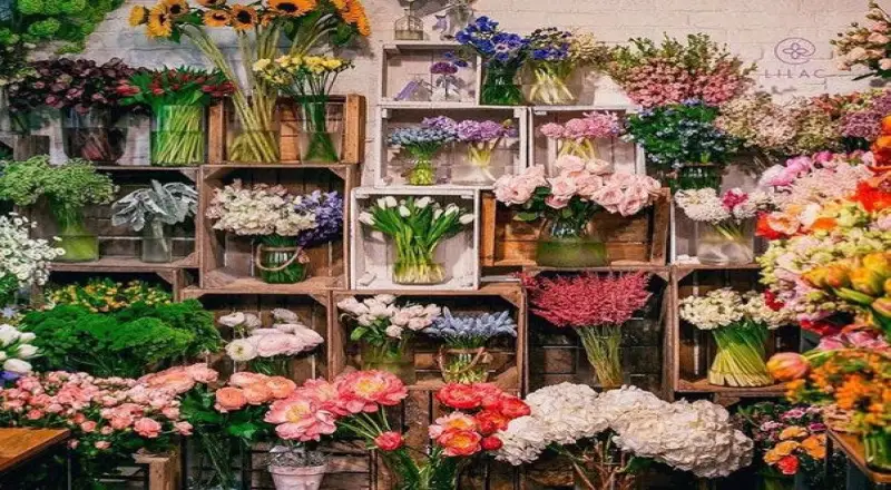 Top 10 Florists in Umm Suqeim That Deliver Happiness