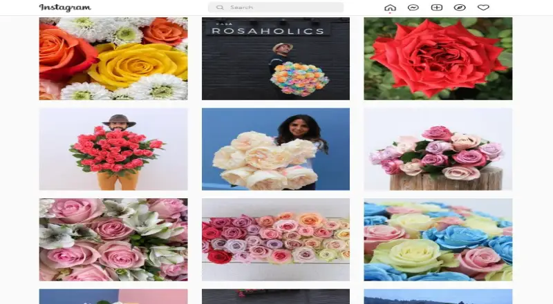 Top 10 Instagram-Worthy Flower Shops in Sharjah