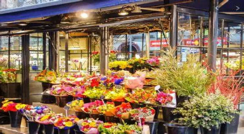Top 10 Best-Reviewed Flower Shops in Dubai Hills Estate