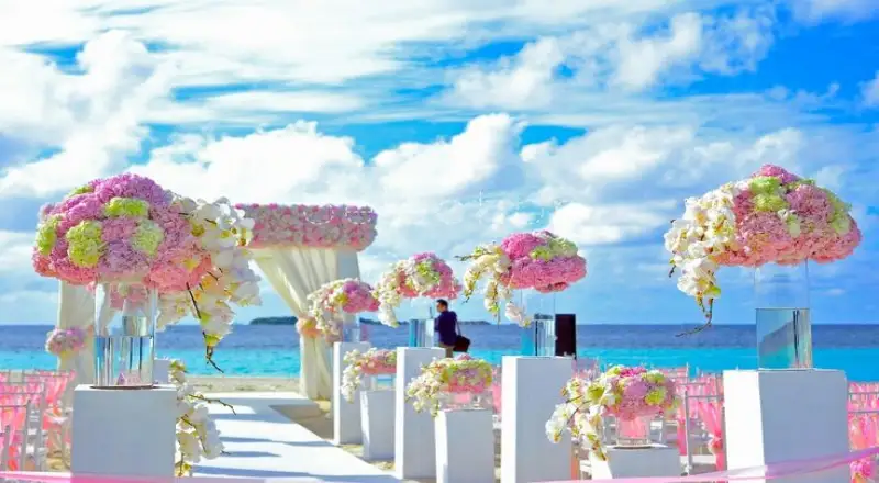 Top 10 Chic Flower Boutiques in Al Quoz