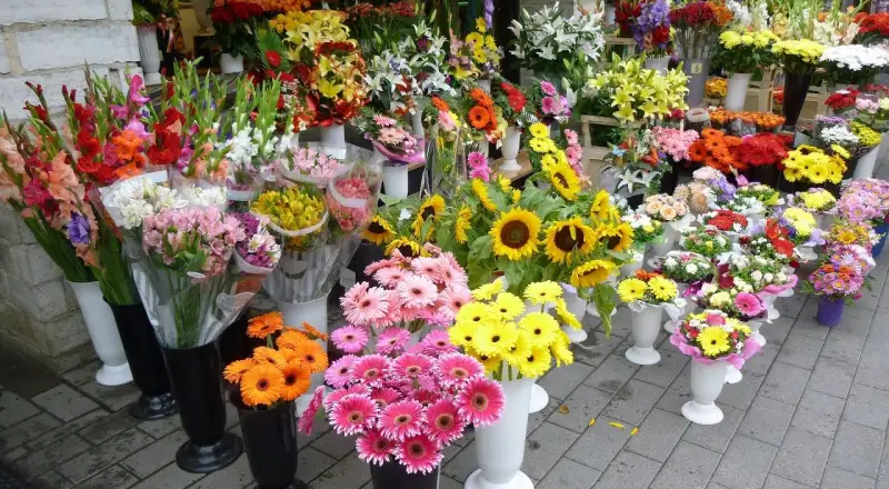 Top 10 Places in Zabeel Park for Same-Day Flower Delivery