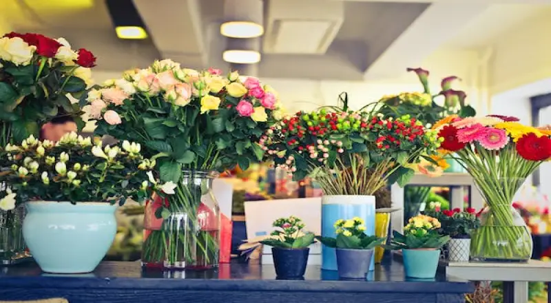 Top 10 Best Flower Shops in Khalid Bin Al Waleed for Exotic Flowers
