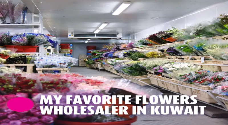 Top 10 Budget-Friendly Flower Shops in Kuwait Street