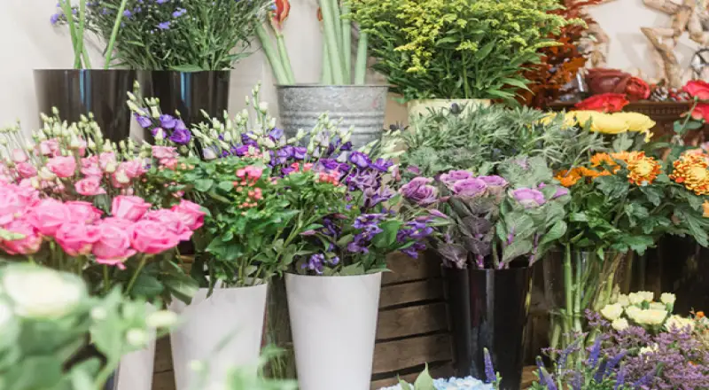 Top 10 Local Florists in Qusais for Vibrant Blooms