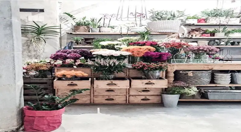 Top 10 Trendy Florists in Satwa Residential Zone for Modern Designs