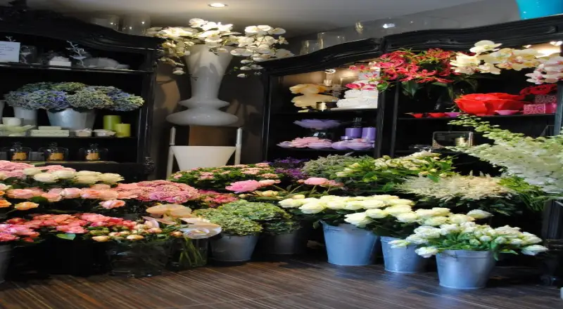 Top 10 Flower Shops in Mankhool for Breathtaking Arrangements