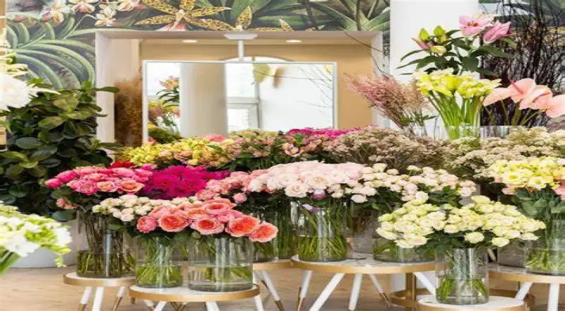 Top 10 Flower Shops in Ar Riqqah for Memorable Gifts