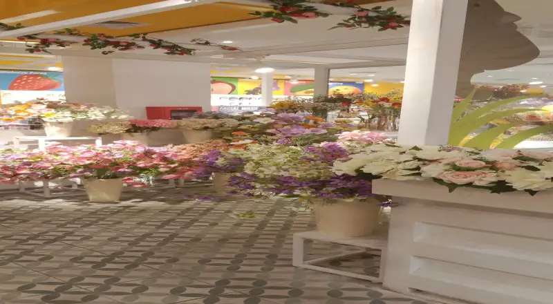 Top 10 Florists in Sheikh Zayed Road Bringing Art to Life with Flowers