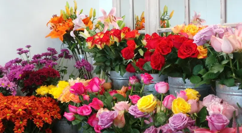 Top 10 Flower Shops in Qima Loved by Flower Enthusiasts