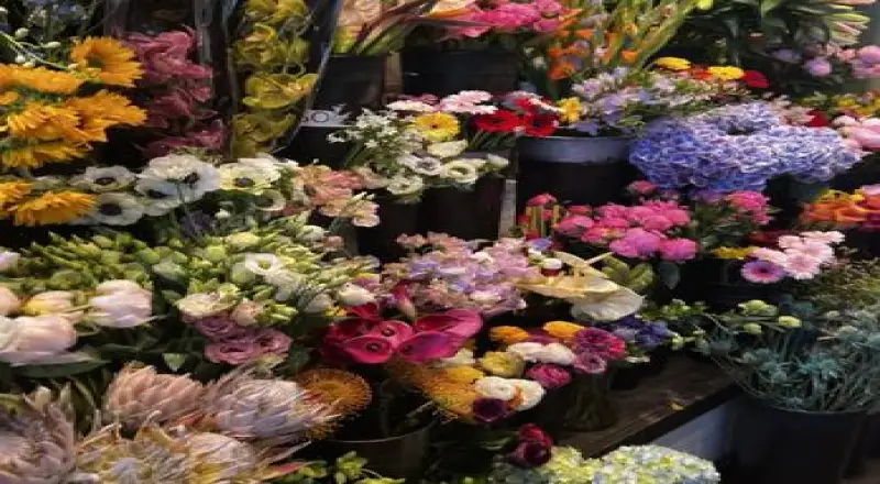 Top 10 Award-Winning Florists in Al Safa 1, Dubai