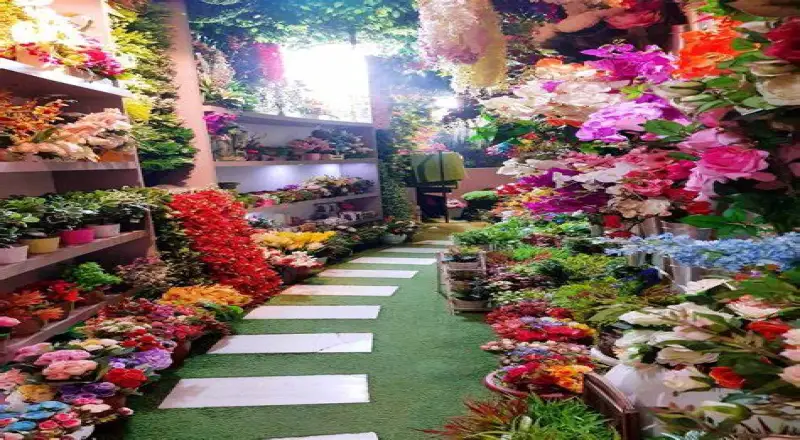 Top 10 Flower Shops in Al Wasl That Will Leave You Awestruck
