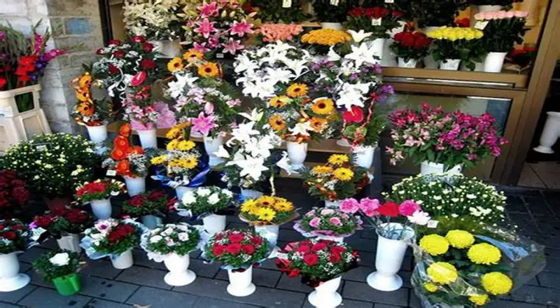 Top 10 Artisanal Florists in Hajarain You Must Visit
