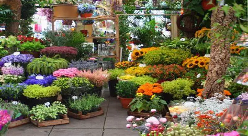 Top 10 Hidden Gem Florists in Al Khezammia You’ll Love
