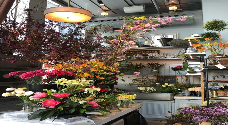 Top 10 Flower Shops in Mirdif for Sophisticated Arrangements