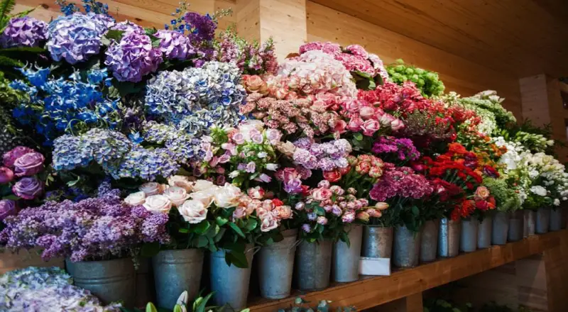 Top 10 Flower Shops in Sharaf al Afar for Captivating Floral Gifts