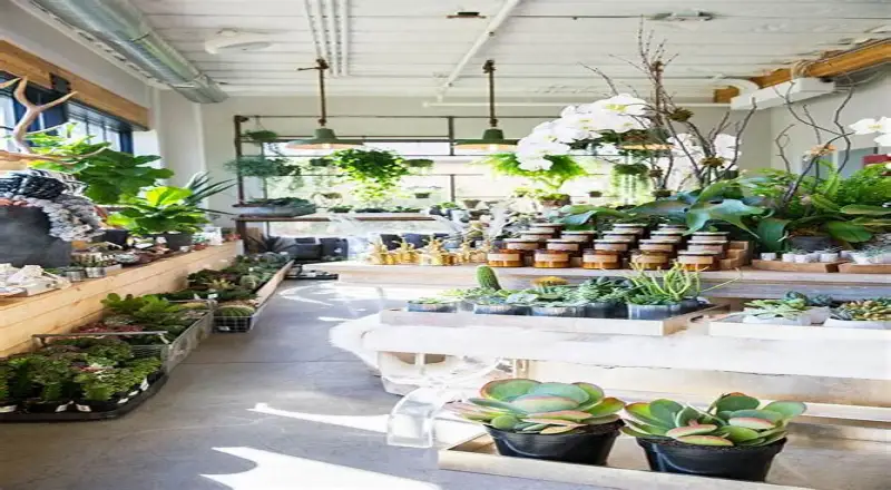 Top 10 Flower Shops in Nadd Al Hamar for Elegant & Timeless Arrangements