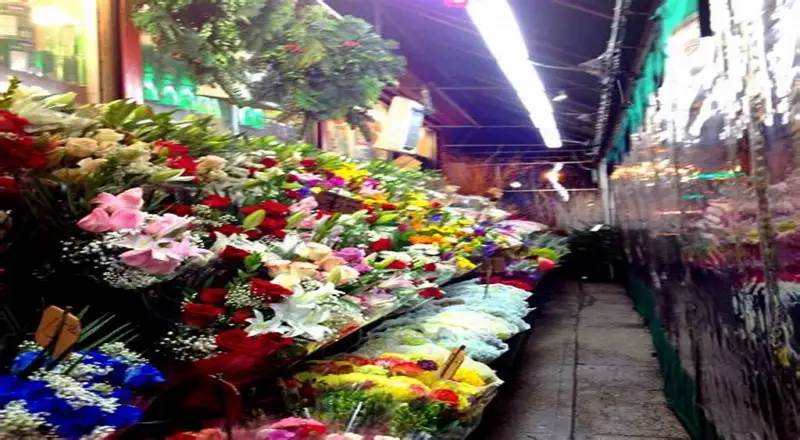 Top 10 Florists in Jumayra Offering the Freshest Seasonal Blooms