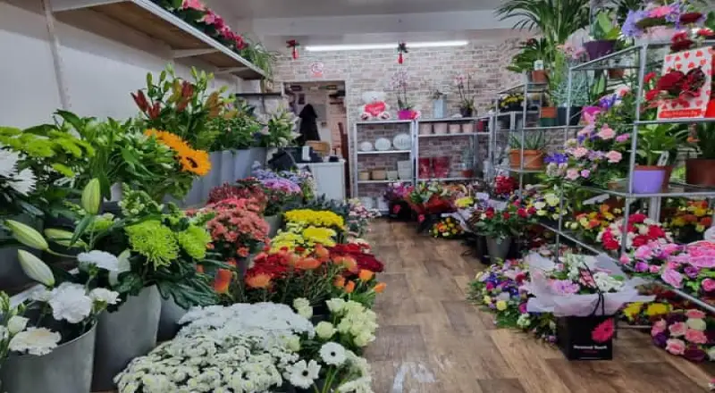 Top 10 Local Florists in Sheikh Zayed for a Personal Touch